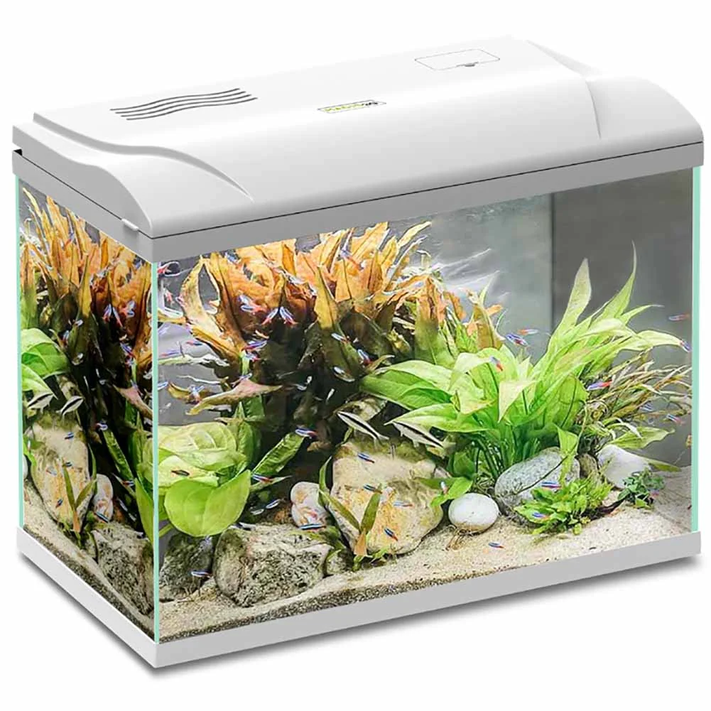 Acquario Magis 30 Bianco Blu Bios - Image 3