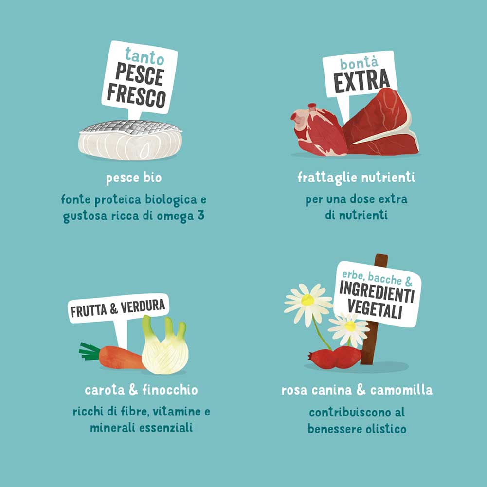 Alimento cane Adulto Bio Pesce 100g Edgard Cooper - Image 2