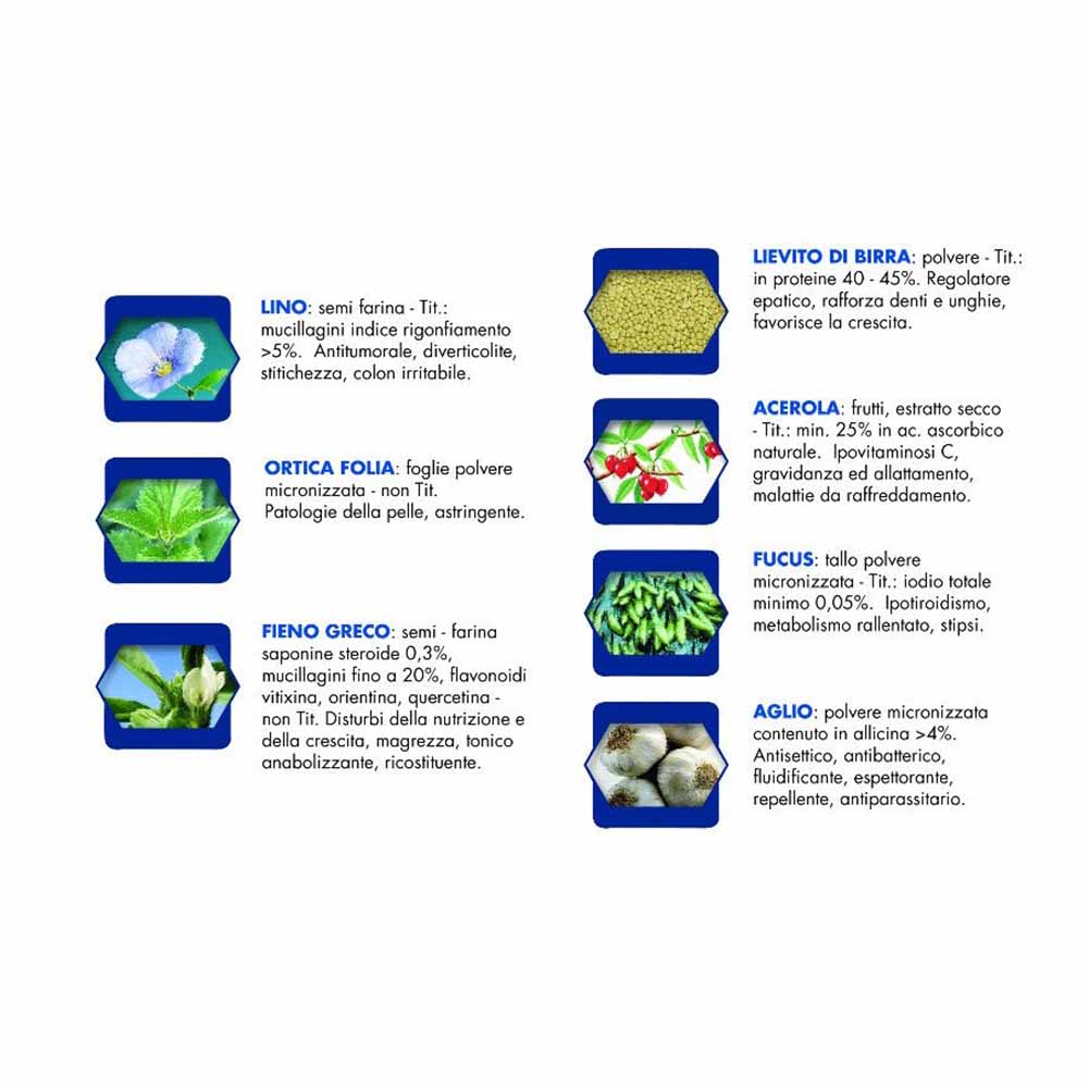 Alimento secco cane adulto bufalo Vet Line - Image 3