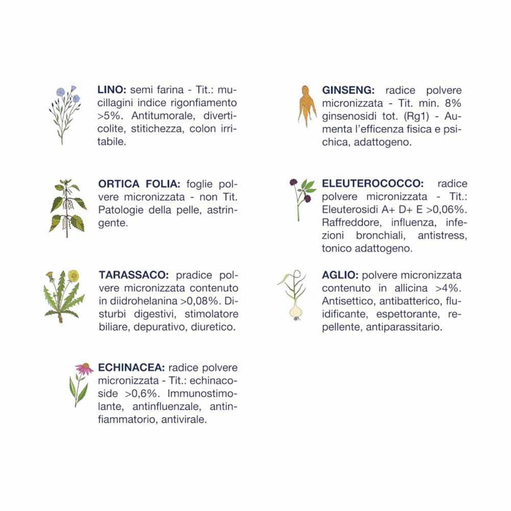 Alimento secco cane adulto pollo 12,5g Vet Line - Image 3