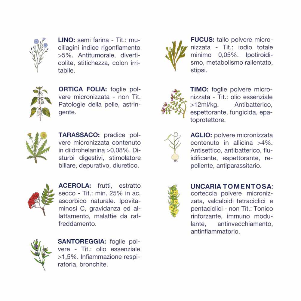 Alimento secco cane adulto Salute pesce Vet Line - Image 3