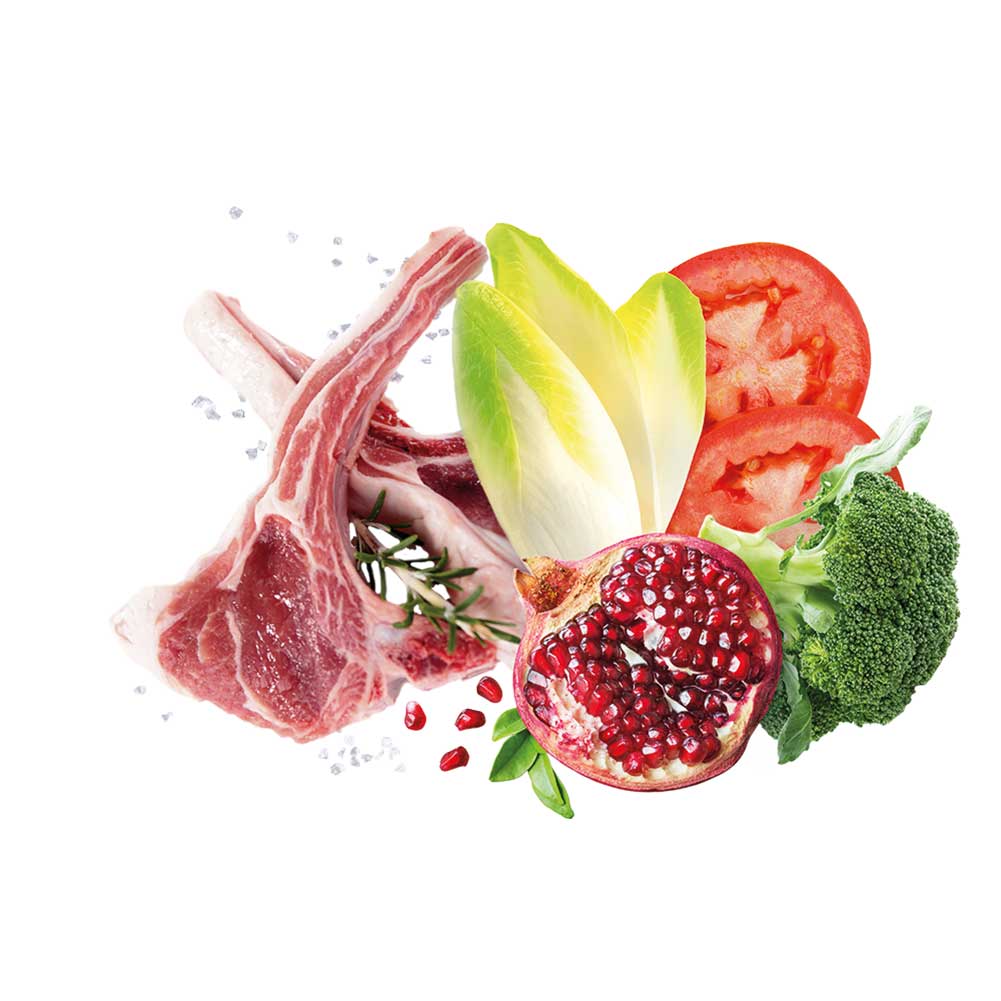 Alimento secco per cani Adult medium Mediterraneo Agnello Exclusion - Image 3