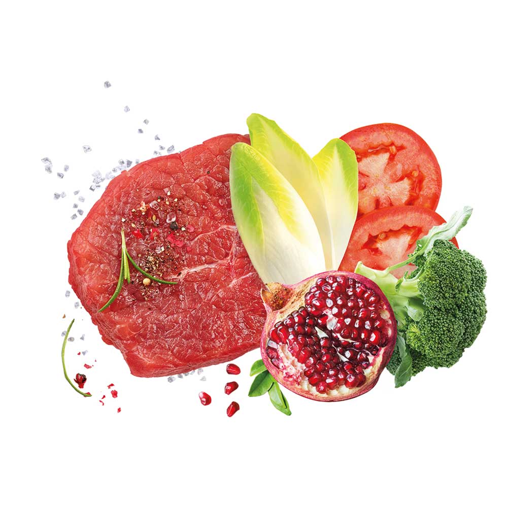 Alimento secco per cani Adult medium Mediterraneo Manzo Exclusion - Image 5