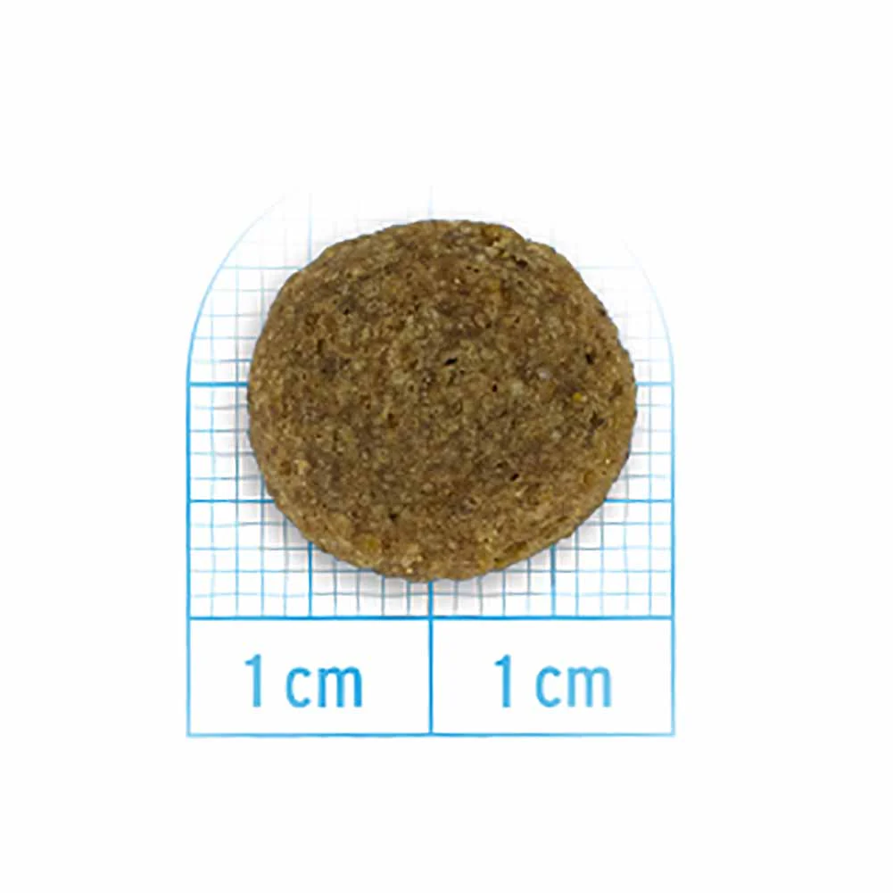 Alimento secco per cani Forza10 Adult Medium Pesce 12 kg - Image 3