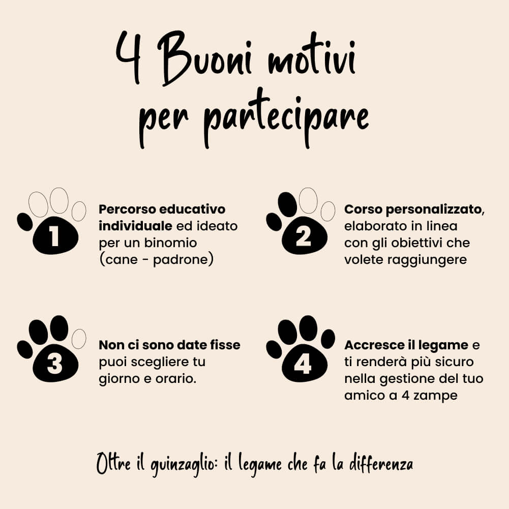 Corso GooDog Academy Premium - Image 2