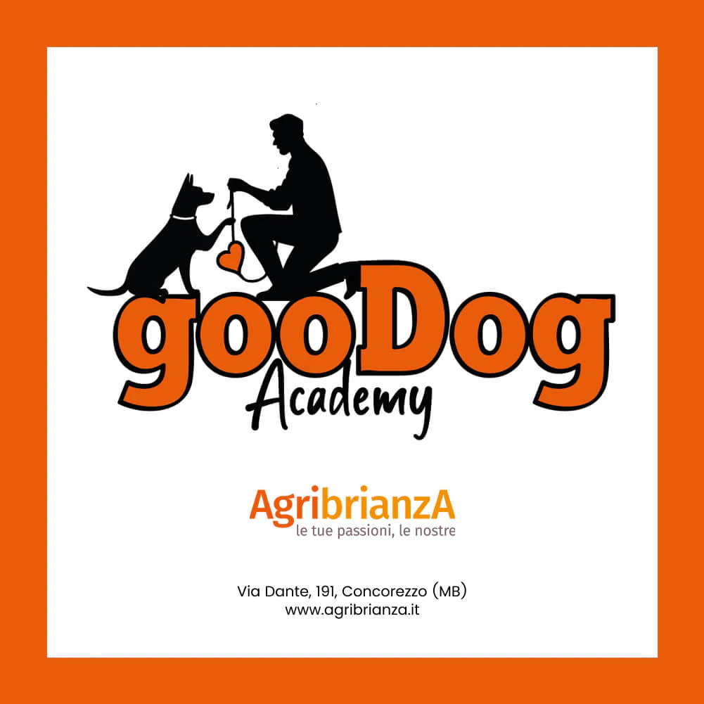 Corso GooDog Academy Premium - Image 3
