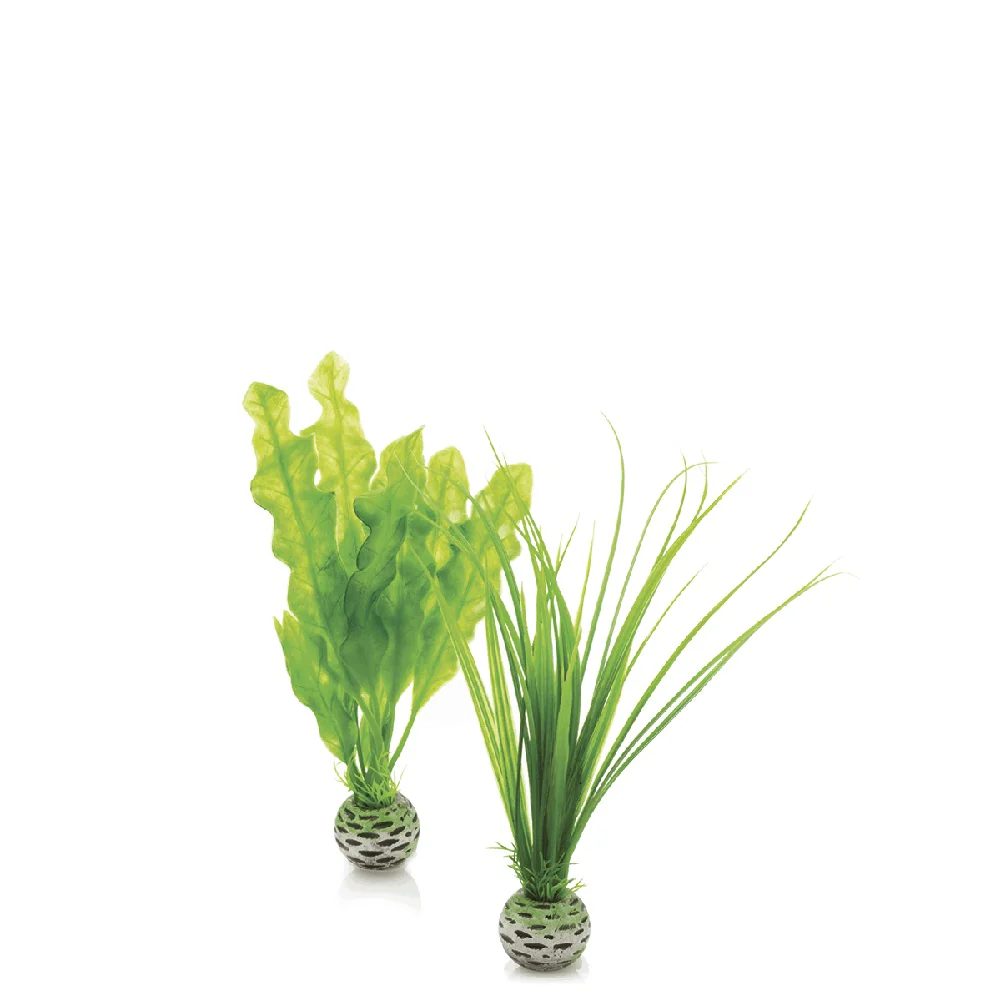 Decorazione per acquario set piante semplici piccole verde biOrb art 46055