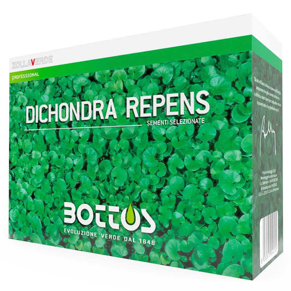 Sementi Dichondra Repens 500g Zollaverde Bottos