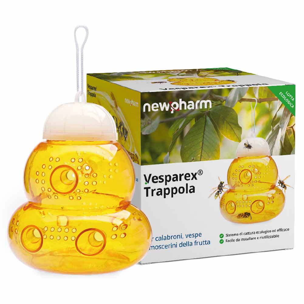 Trappola Vesparex per vespe da esterno